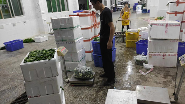 溫室氣體核查陳述企業 溫室氣體核查陳述企業